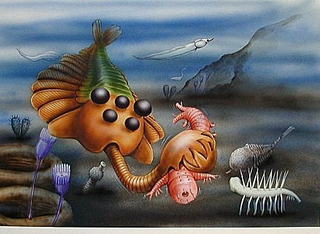Illustration for article titled Otters Oddities